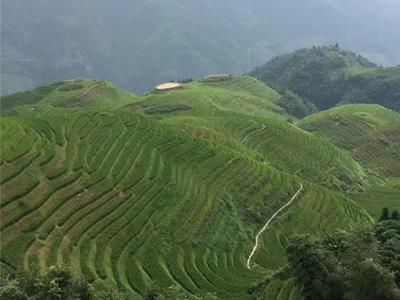 “綠水青山就是金山銀山”環(huán)境日主題